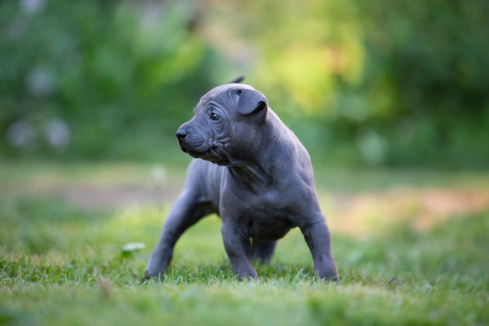 67656826_649265172221166_2270391202396241920_o