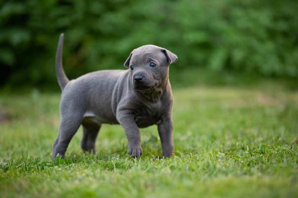 67663630_649265692221114_1714928901685248000_o