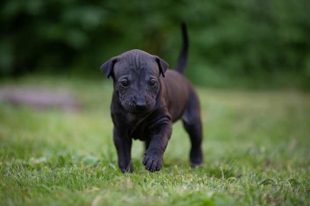 67714382_649266412221042_2920292227559194624_o