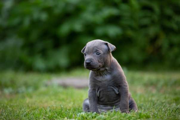 67800067_649265622221121_9105174876171272192_o