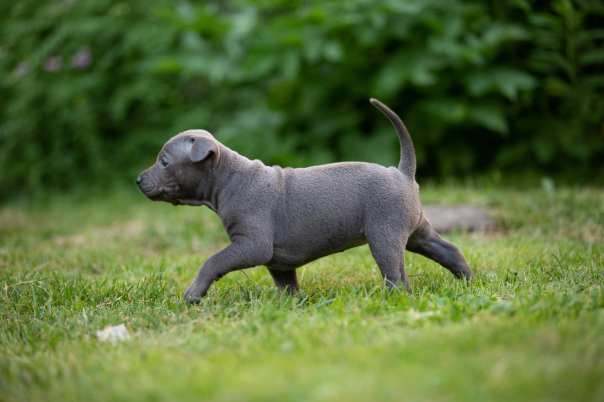 67827019_649265728887777_5182674136287150080_o