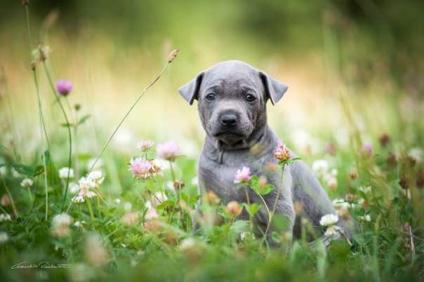 67634746_656061131541570_1126932004663721984_o