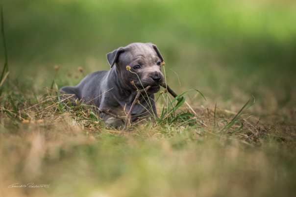 67650056_656061044874912_7288765891670441984_o