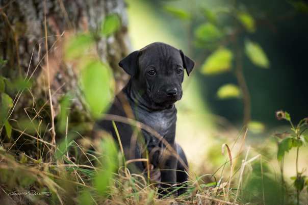 67695168_656062814874735_6798724373898330112_o