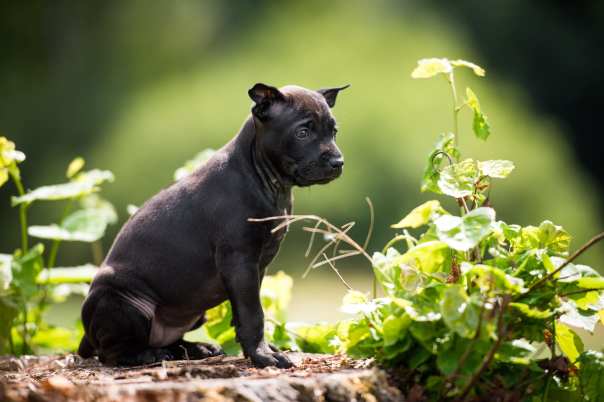 67698536_656058814875135_6807575575645913088_o