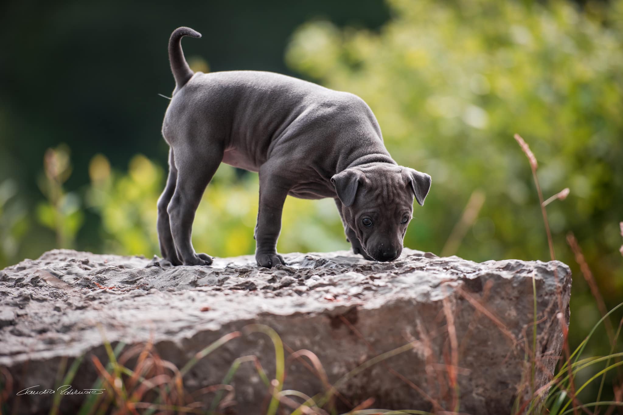 67710372_656060181541665_9188482398306697216_o