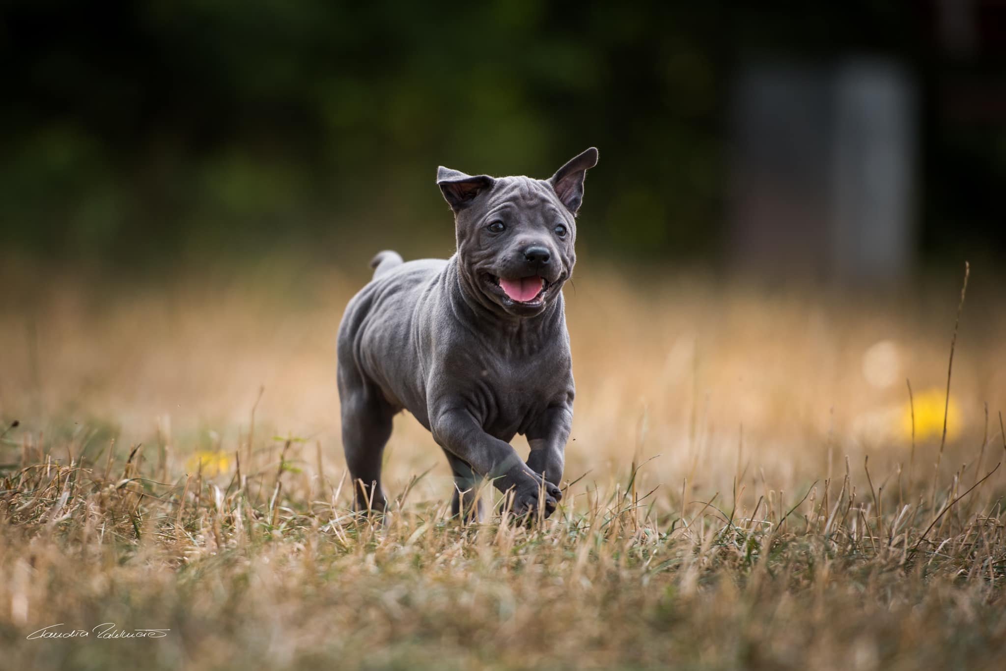 67711320_656060241541659_2281054601169862656_o