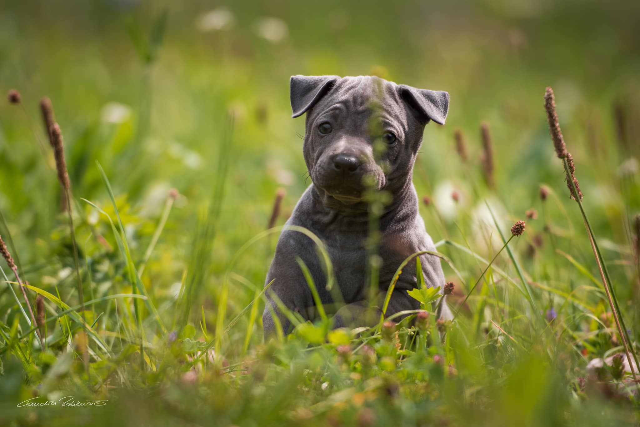 67722358_656060058208344_764606931485589504_o