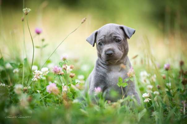 67733637_656061231541560_6287145480627421184_o