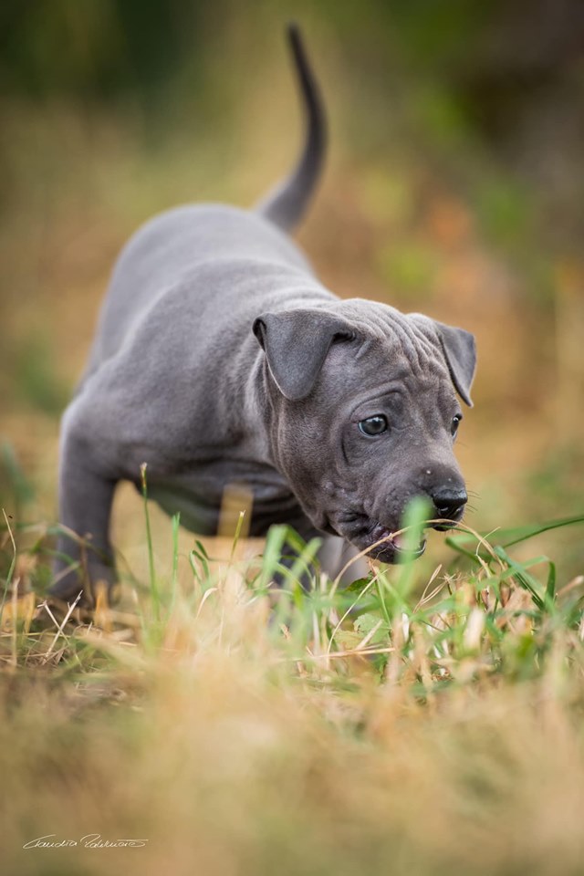 67747902_656060338208316_1536016885009612800_n