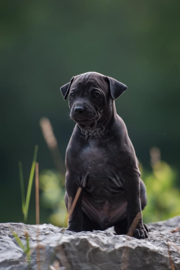 67756816_656062554874761_6138962069464023040_n