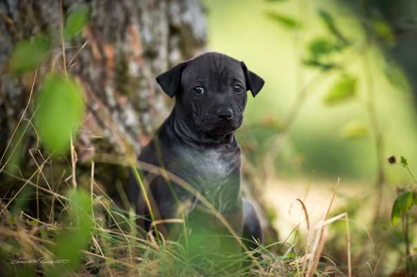 67786928_656062791541404_1966954623382061056_o