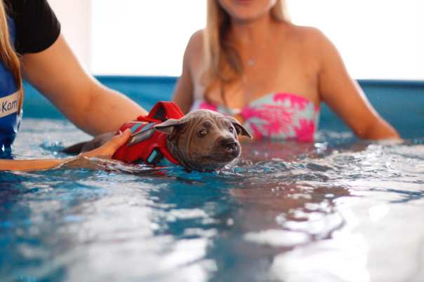 67799028_660744337739916_7732158644359266304_o