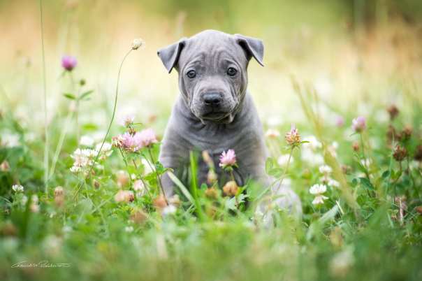 67802672_656062008208149_473116718105886720_o