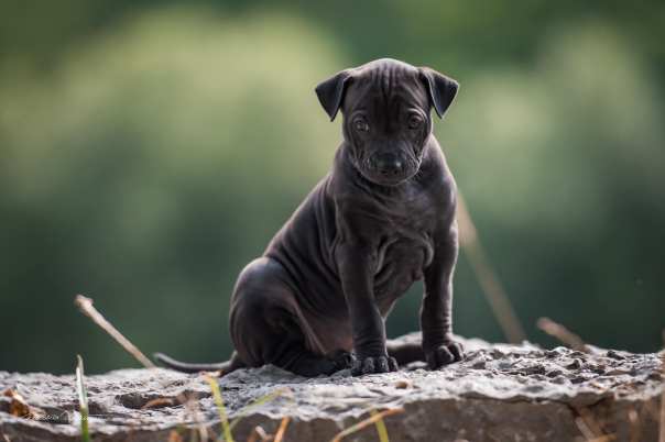 67807486_656062471541436_1153795354357923840_o