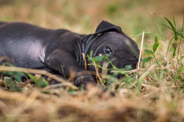 67813920_656062621541421_9011892498649317376_o