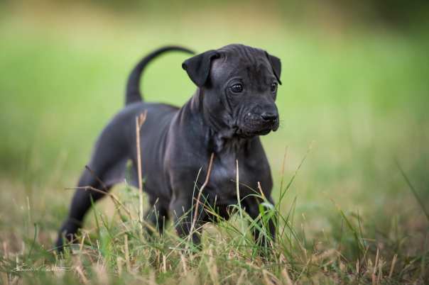 67815505_656062581541425_5834017656281235456_o