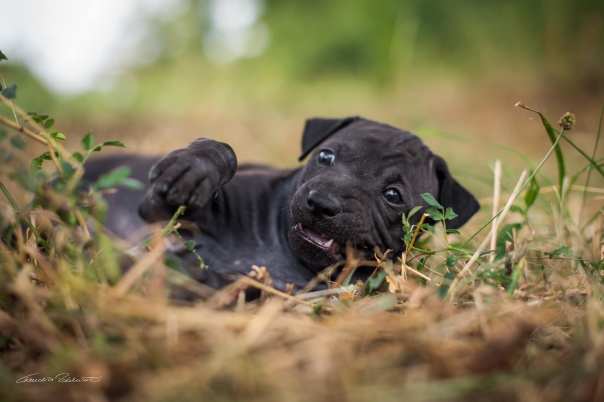 67822581_656062714874745_8009419480763465728_o