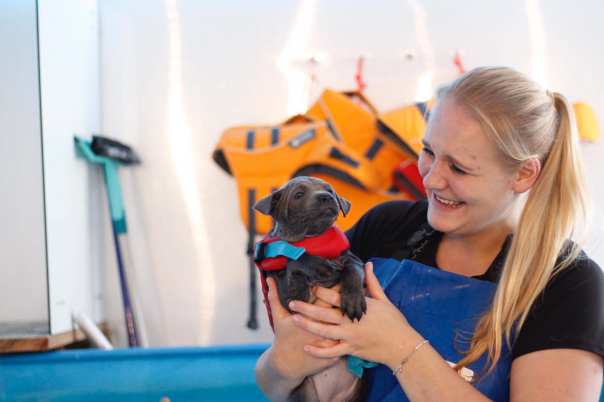 67832276_660744007739949_4316391765398519808_o