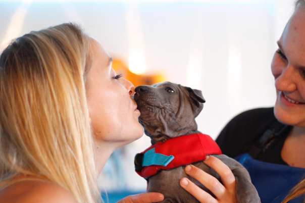 67893853_660744447739905_7647414352584114176_o