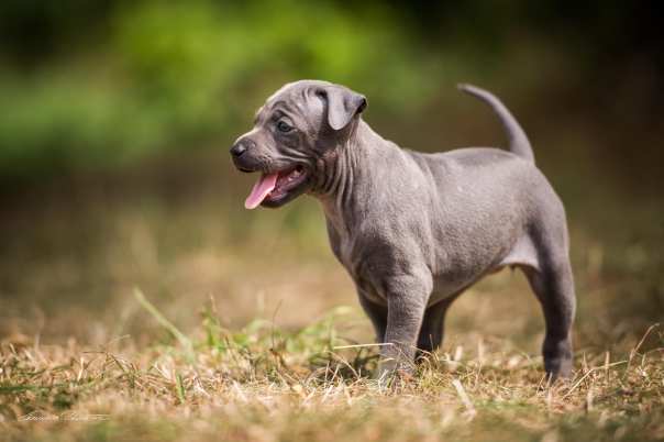 67919270_656061074874909_5393753804447416320_o