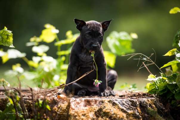 67935224_656058991541784_3194005906308202496_o