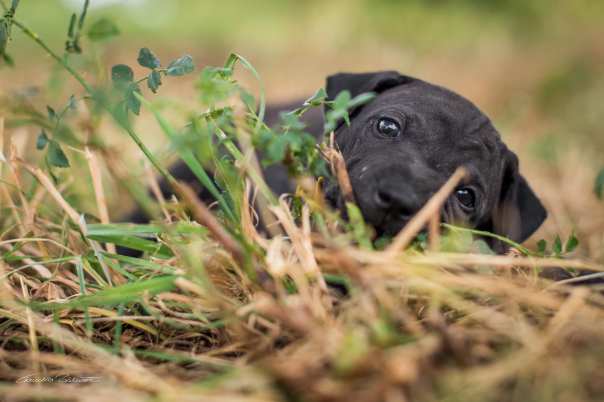 67941600_656062648208085_8943595582270734336_o