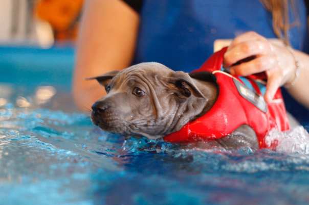 68252741_660744497739900_5975353077098610688_o