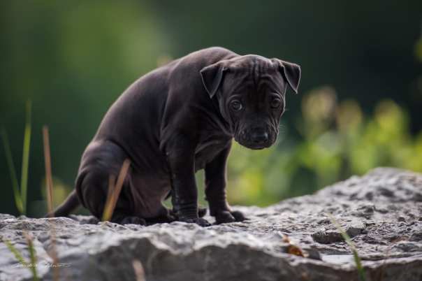 68343487_656062451541438_8470568169419833344_o