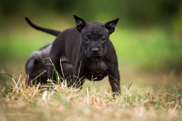 68367563_656058794875137_3241790703126183936_o