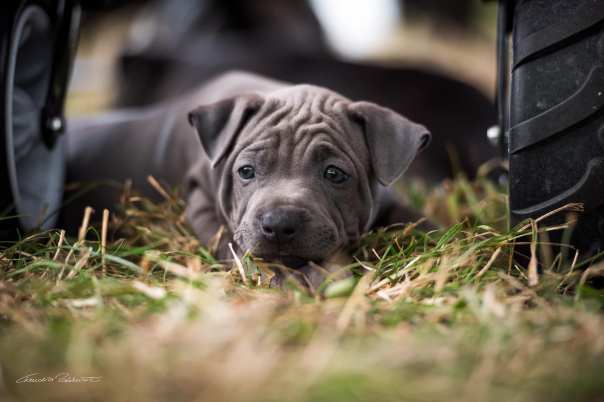 68380861_656061848208165_4565791591335198720_o