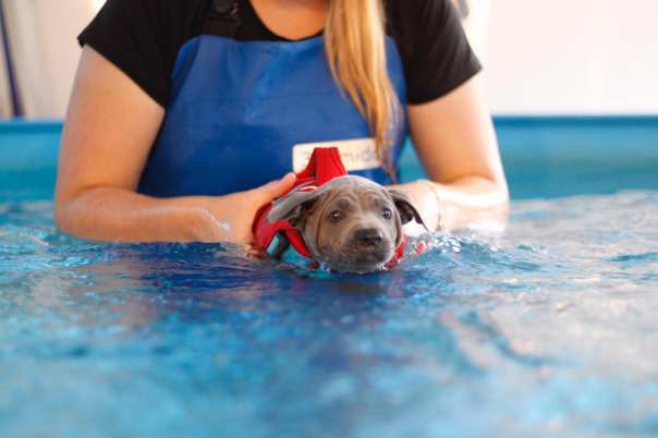 68390809_660744604406556_7941227623579910144_o