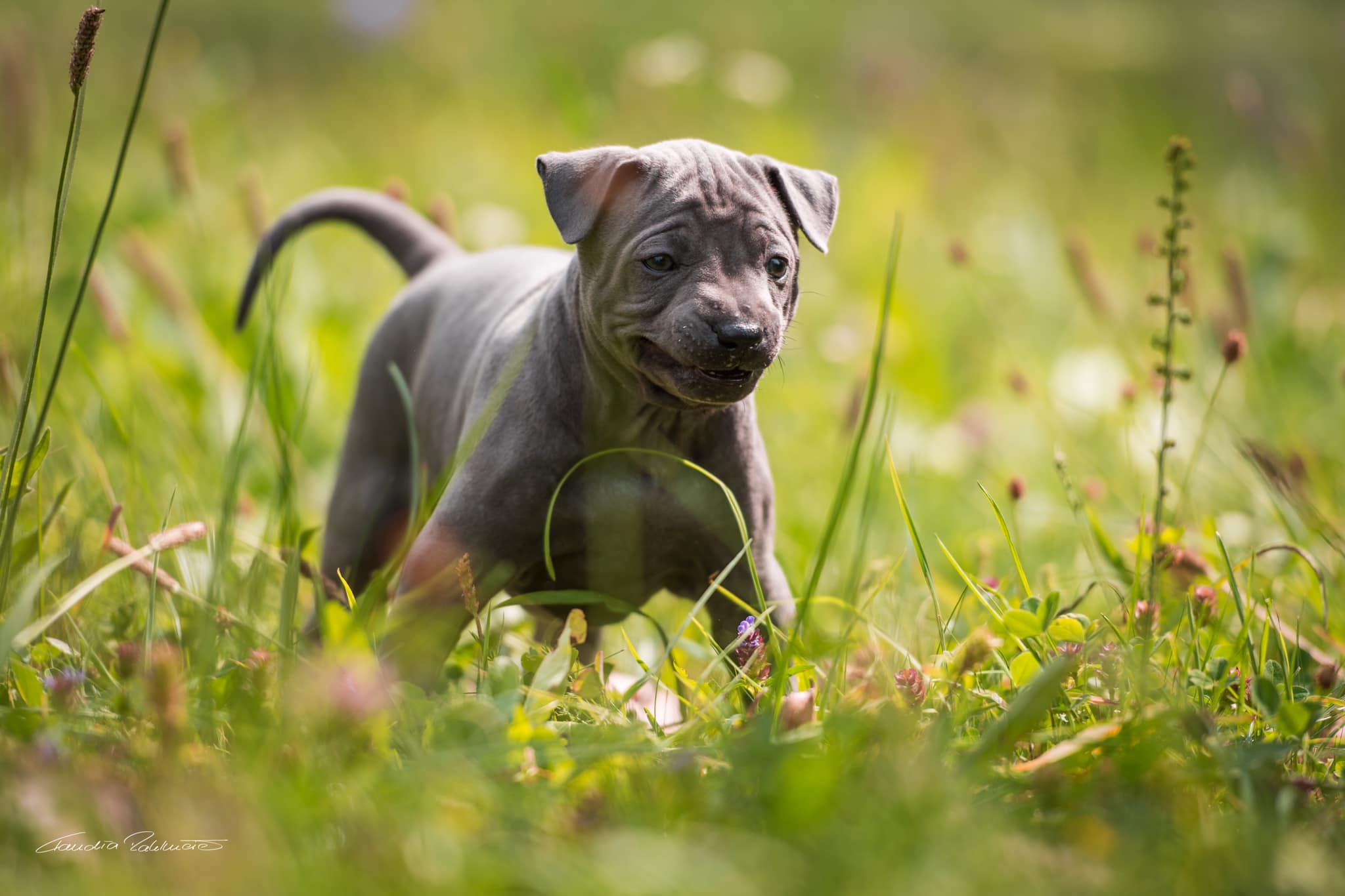 68403812_656060068208343_6548547931975188480_o