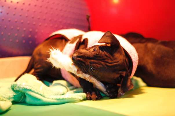 68406071_660745284406488_8441480095385780224_o