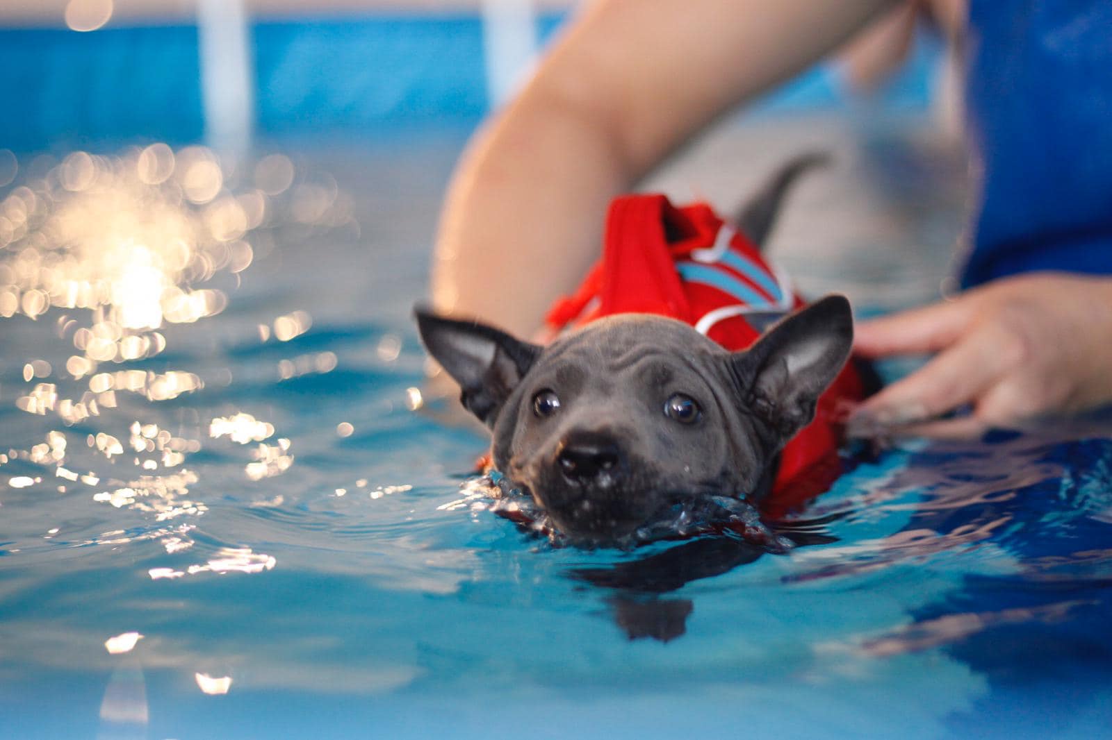 68470974_660743711073312_8910635075528294400_o