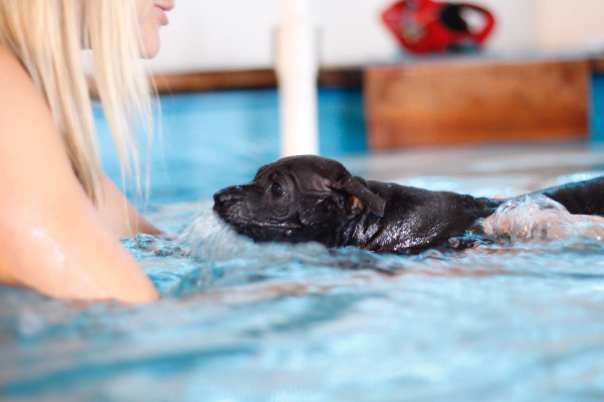 68512925_660745227739827_4164780798534221824_o