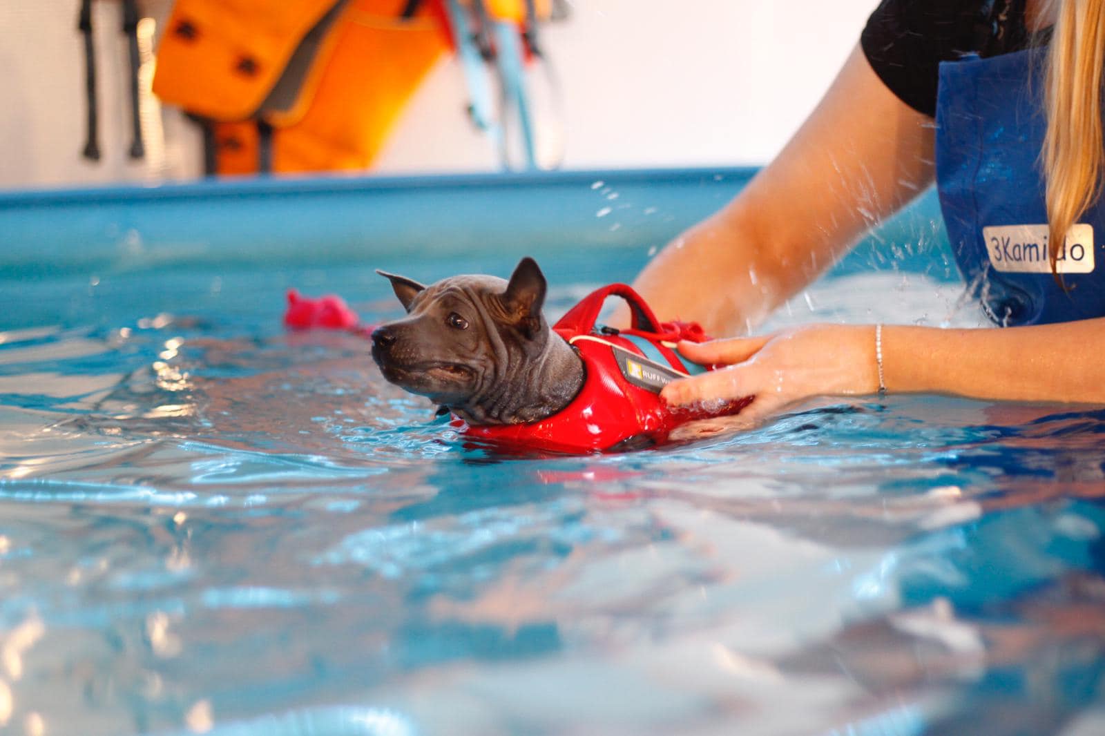 68560920_660743594406657_332898813419192320_o