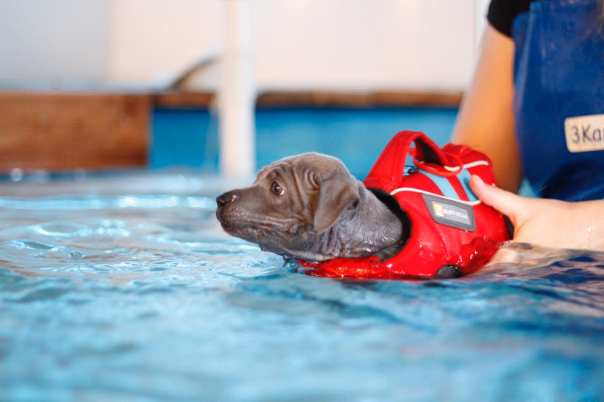 68680200_660743997739950_9192968032085868544_o