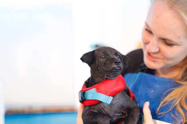 68685907_660745164406500_2299281493186314240_o