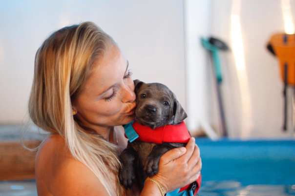 68706219_660744061073277_7434351530519560192_o