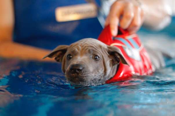 68945786_660744621073221_6350366875238531072_o