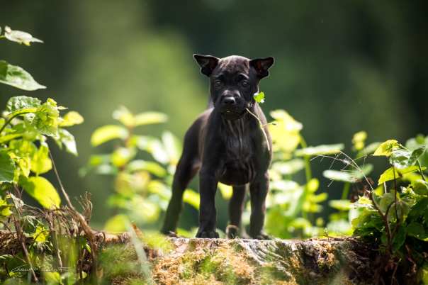 69003560_656059108208439_4433575446944153600_o