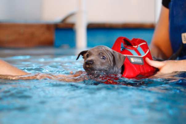 69027815_660743937739956_7644664534132588544_o