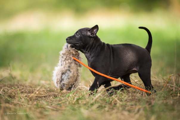 69046329_656058761541807_475709607042351104_o