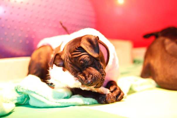 69084566_660745307739819_2597377306137722880_o