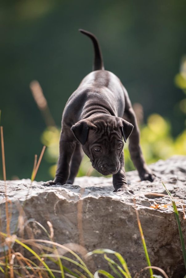 69090835_656062528208097_8808810132608647168_n