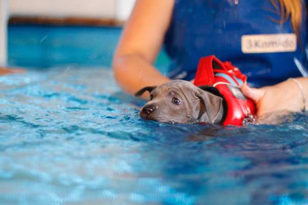 69355470_660743924406624_1530697357560119296_o