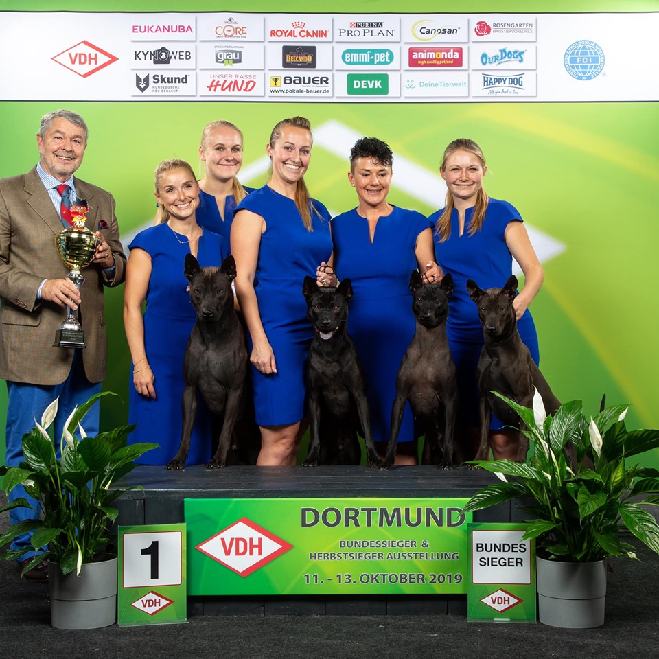 72464749_2135716013402653_3810340336123772928_n