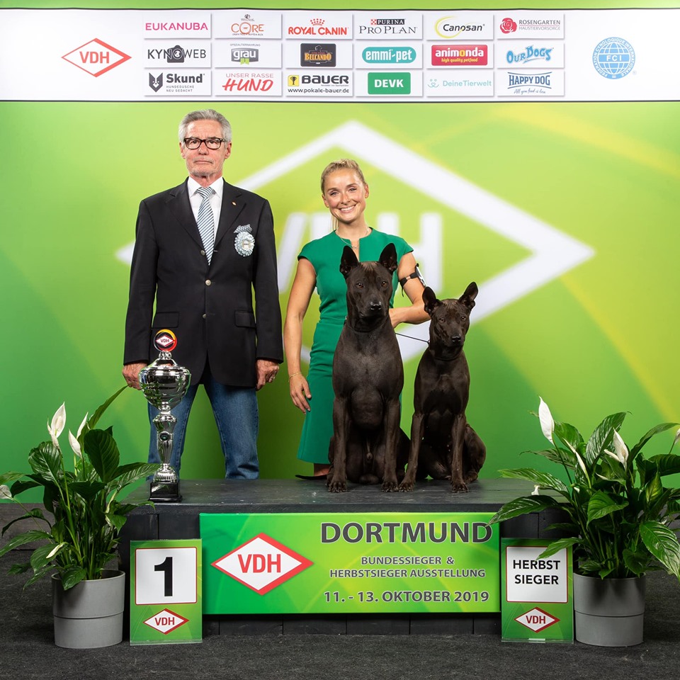 73066034_2135716590069262_4445988486545145856_n