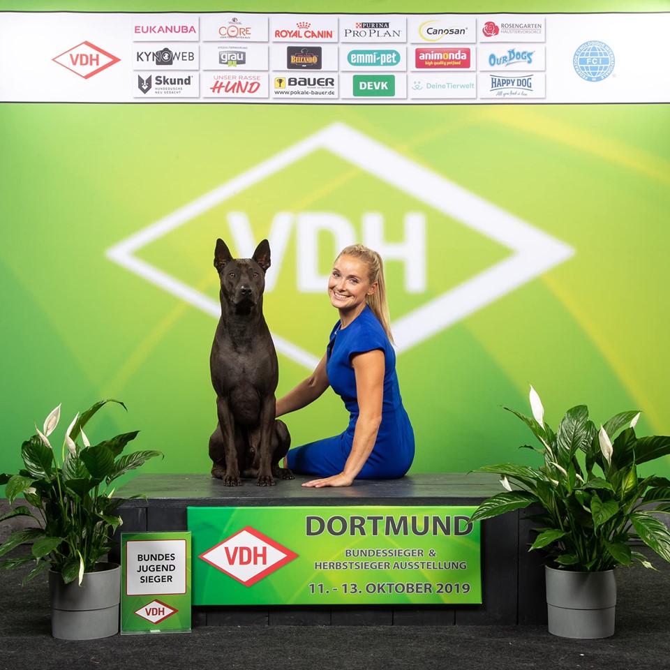 73120450_2135716220069299_8930993873346363392_n